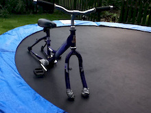 tramp bike for sale