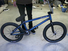 Dialed 20"