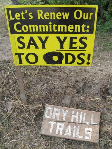 Say YES!!