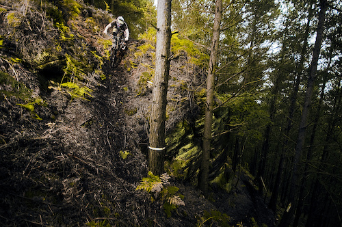 Scratchmere Scar, situated in Cumbria UK is home to a vast array of steep, tech and fast trails. Amidst the trees lay a fresh track that wasn't finished. The shoot, photo'd here was mega steep, loamy, loose and fast! 

Scratchmere Scar is defiantly worth a look! 

samneedham.co.uk