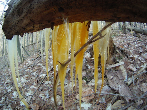 weird icicles