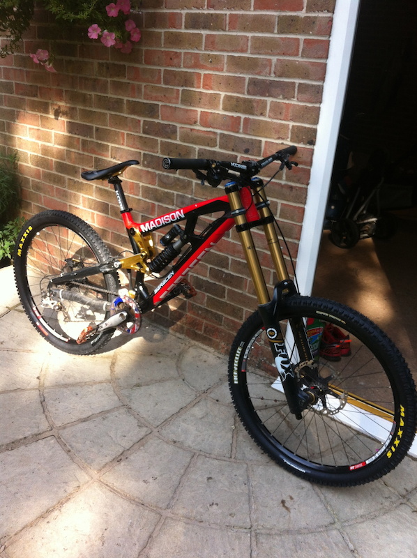 Saracen Myst Team For Sale