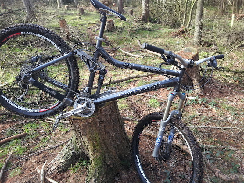 2008 kona dawg deluxe