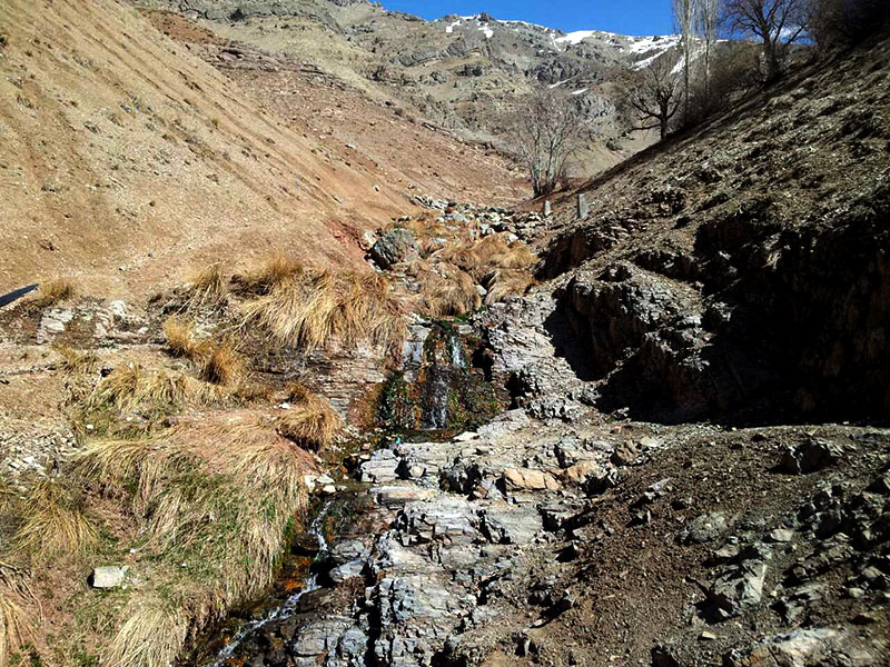 امامه