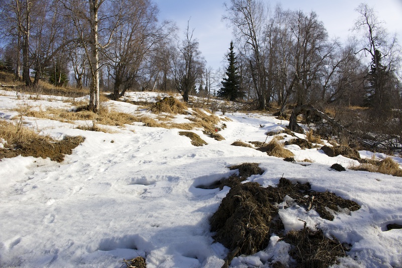 kincaid bike trails map