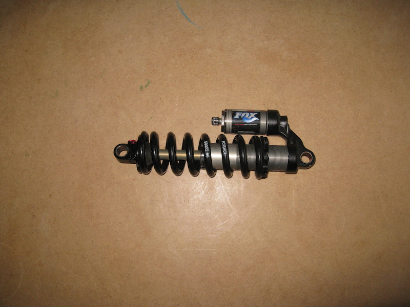 p4pb10946828.jpg