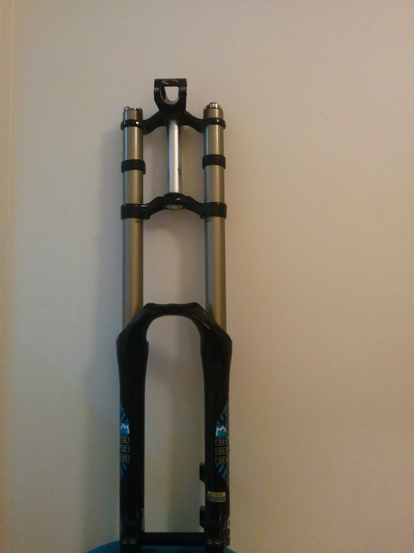 p4pb11176187.jpg