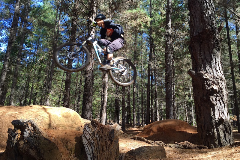 The Pines, Margaret River Mountain Bike Trails Trailforks