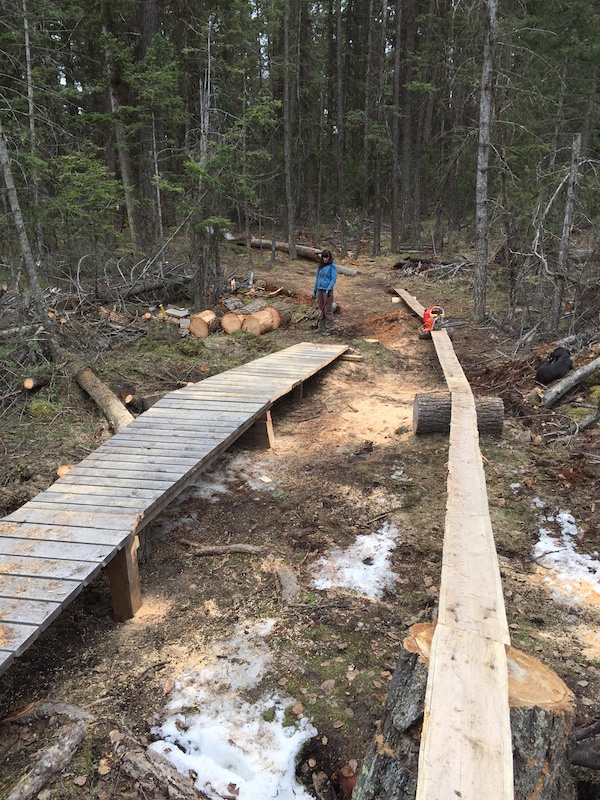 Snakes & Ladders Mountain Bike Trail Westsyde, Williams Lake