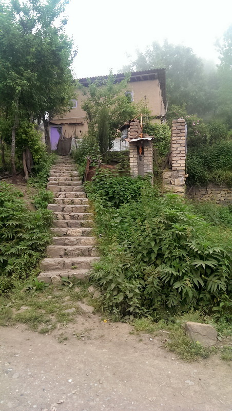 سفرنامه جنگل ابر