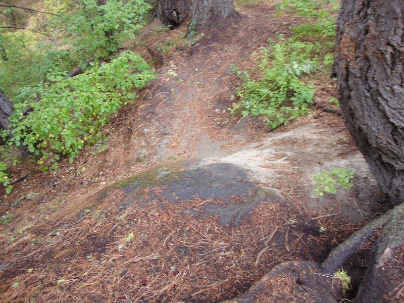 Rat Pac Mountain Bike Trail Teanaway Community Forest, Cle Elum