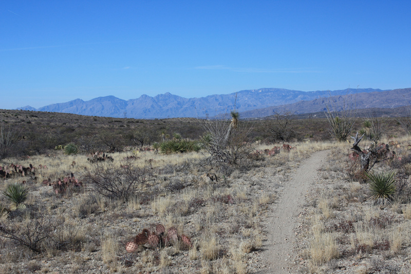 rincon bike trail