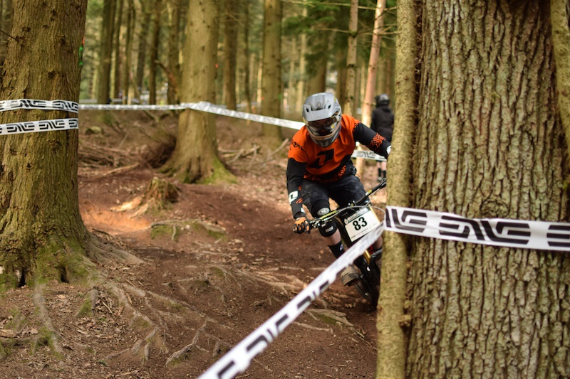 forest of dean pedal a bike away