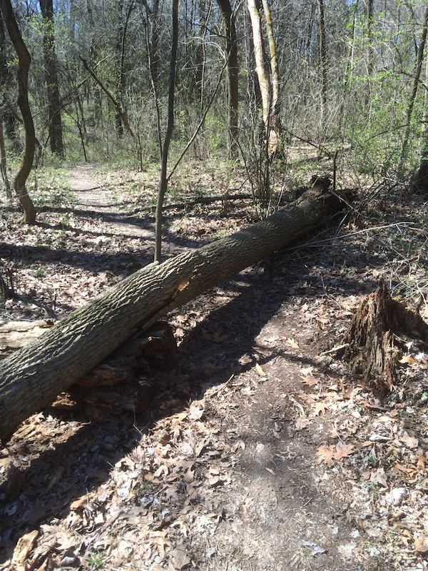 Southern Illinois University Edwardsville Mountain Bike Trails Trailforks