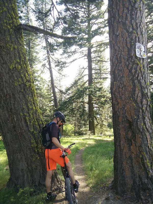 Rat Pac Mountain Bike Trail Roslyn, Washington
