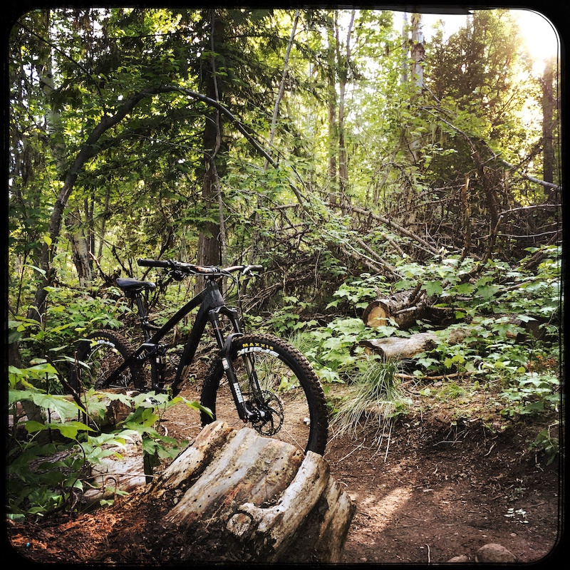 Nelson, British Columbia Mountain Bike Trails Trailforks