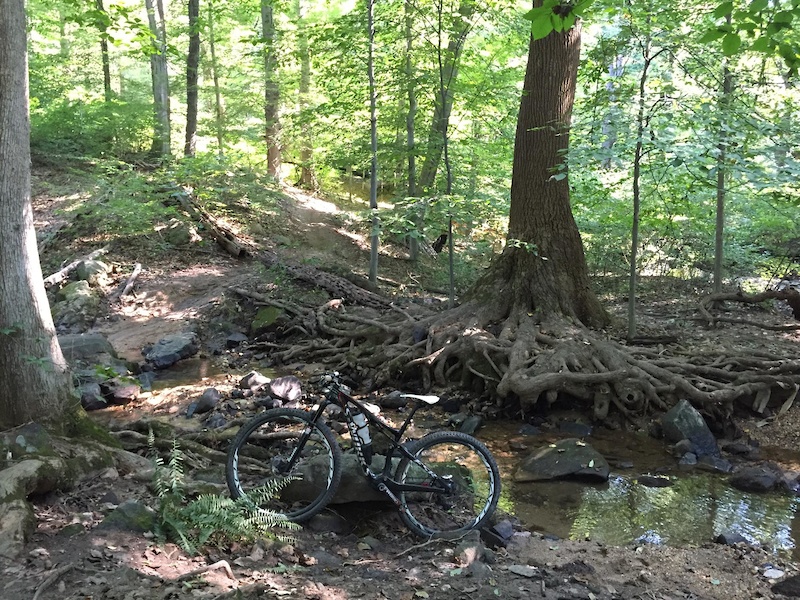 Maryland Mountain Bike Trails | Trailforks