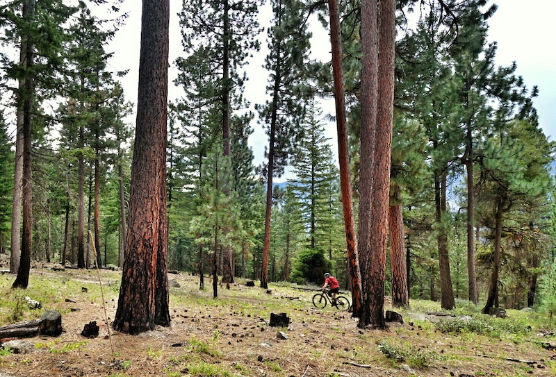 Rendezvous Basin Loop Mountain Bike Trail Buck Mountain, Winthrop