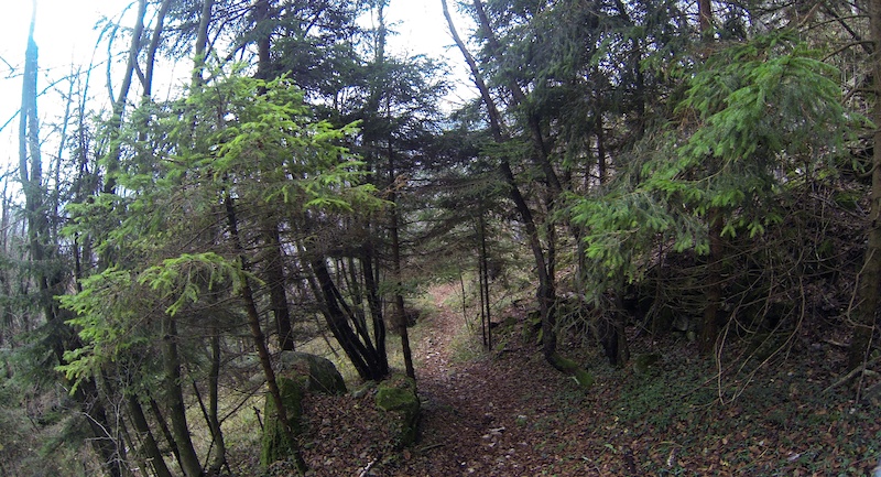 Troi Del Masar Mountain Biking Trail Alano Di Piave