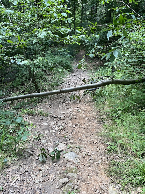 Engelswiesenweg Hiking Trail Heidelberg Trailforks