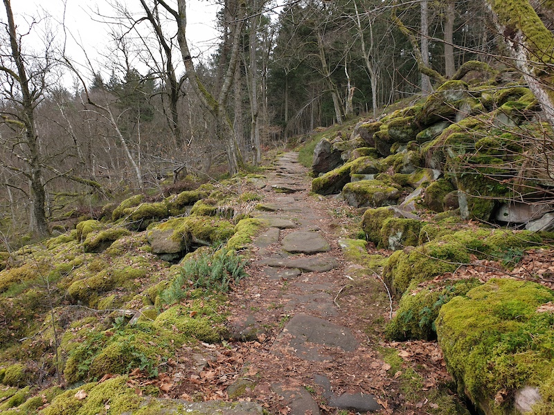 Felsenmeertrail Hiking Trail Heidelberg Trailforks