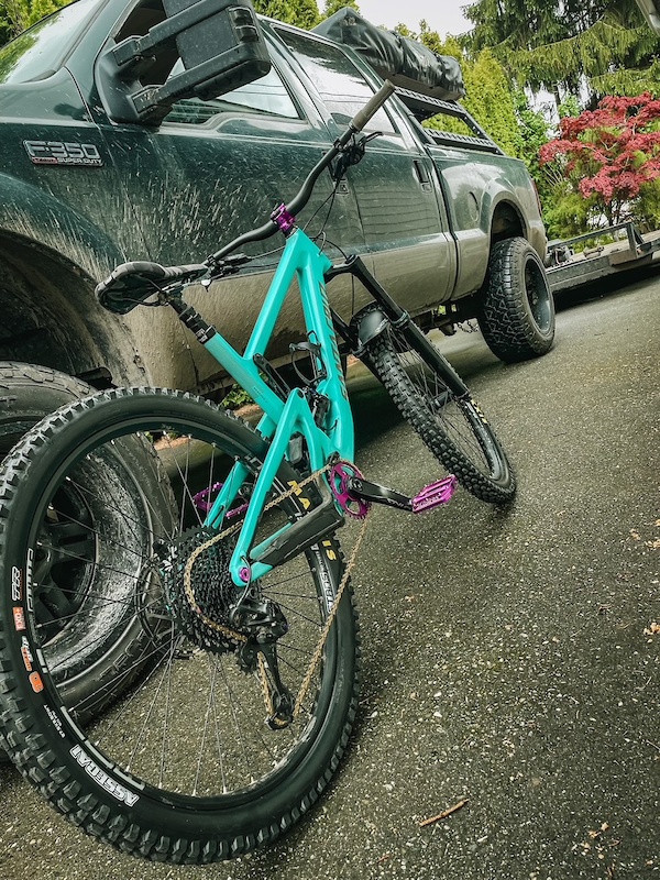 Santa Cruz Bronson C Large For Sale