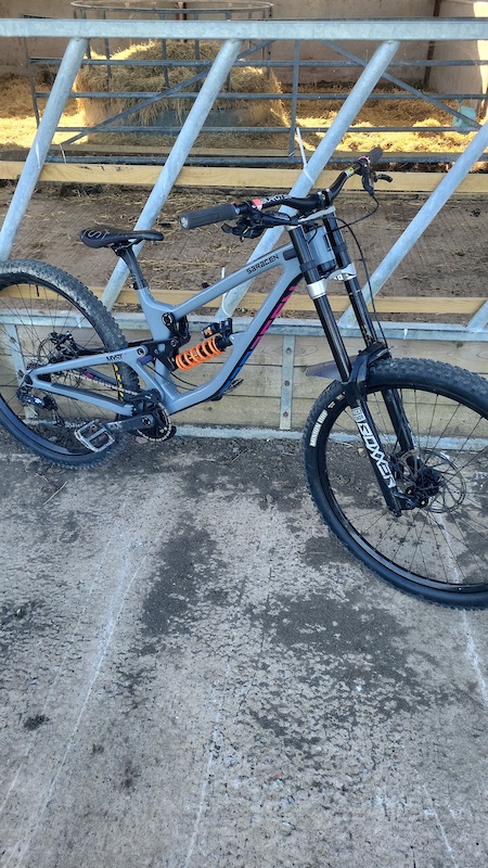 Saracen Myst For Sale