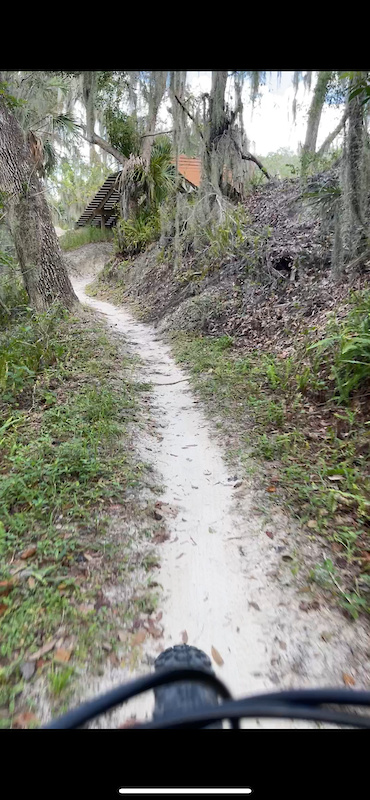 Alligator Alley Hiking Trail Lakeland Florida