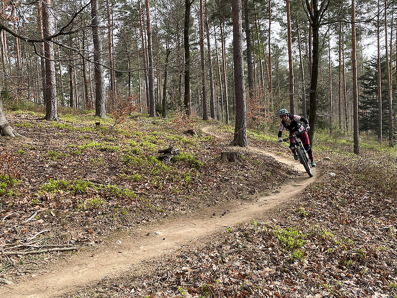 Esterh Zy Trail Mountain Biking Trail K Szeg