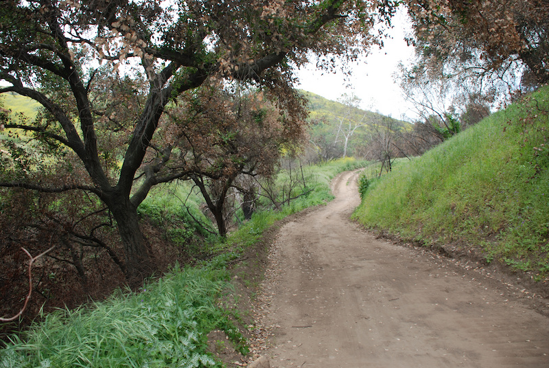 Telegraph Canyon Mountain Bike Trail Brea, California