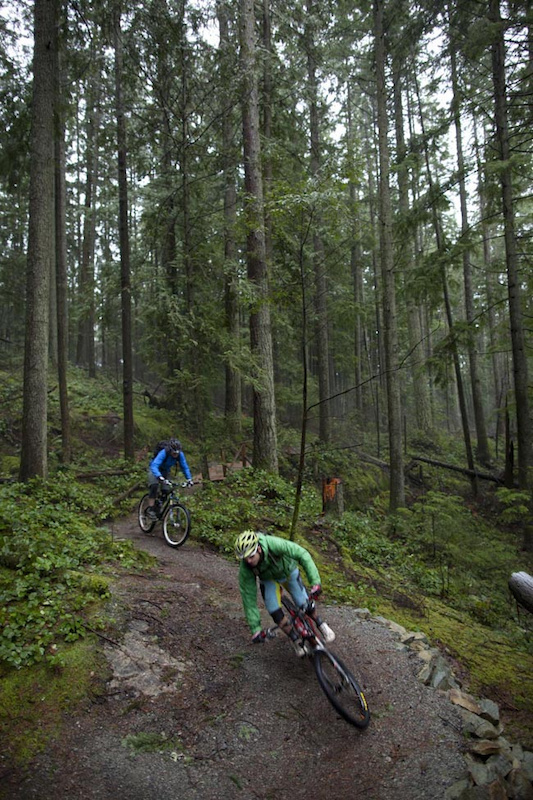 The Richard Juryn trail is part of the xc trail system in the Seymour Demonstration Forest.