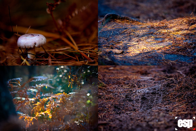 www.esphotography.co.za