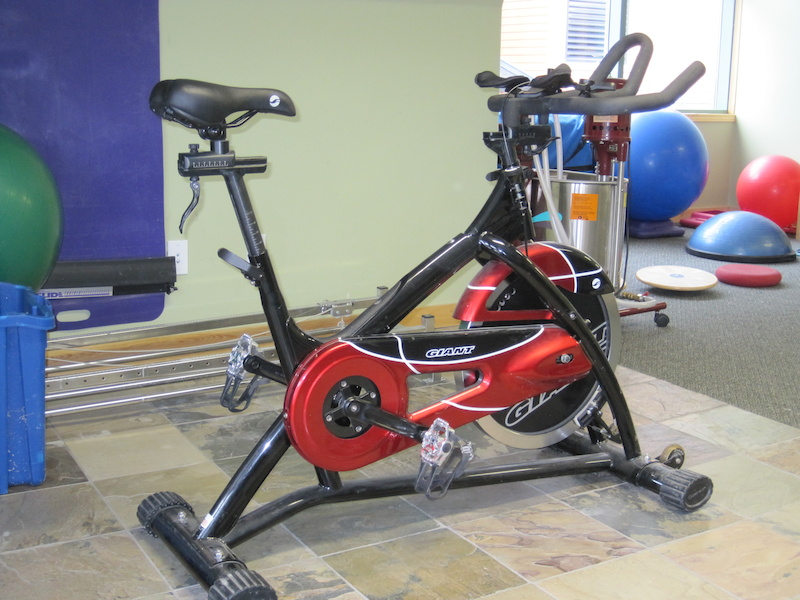 giant Tempo Spin Bike For Sale