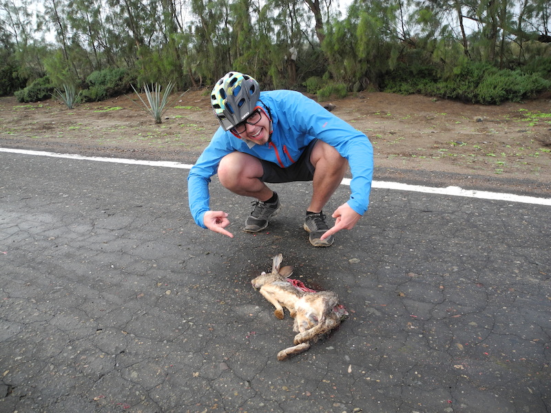 Roadkill