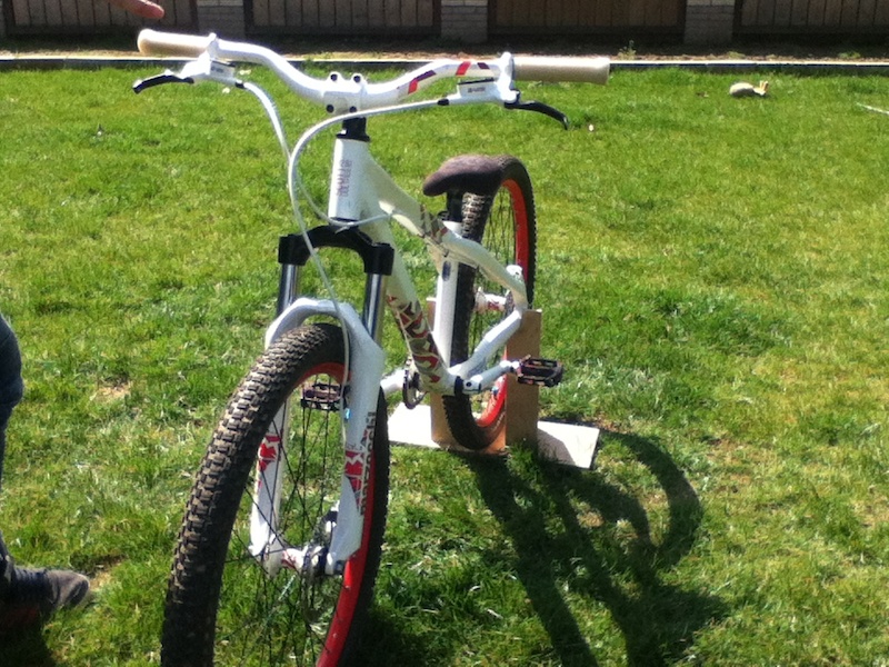 Afbeelding