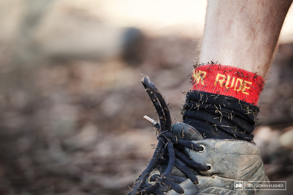 These African seedy jobs are mental. They have a dual prong hook at the front and do not come off your woolly parts without painstaking individual plucking. Note the unintentional junior champ tribute sock.