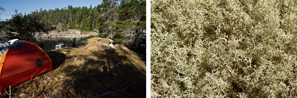 Bone dry lichens made for exceptionally soft camping pads and no chance of open fire cooking.