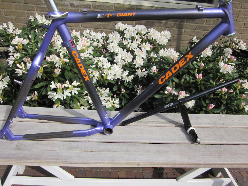 giant cadex frame