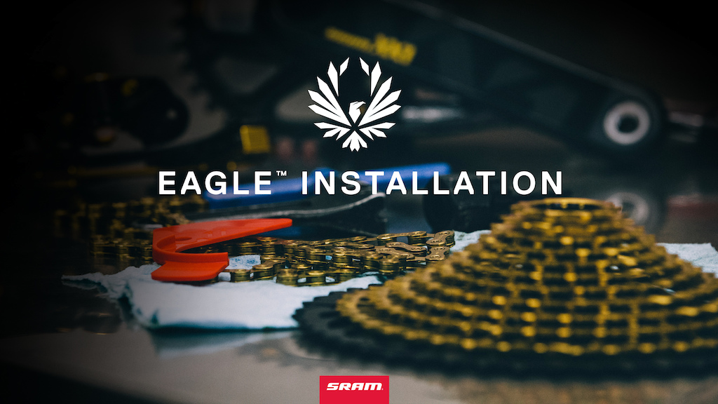Eagle Tech image