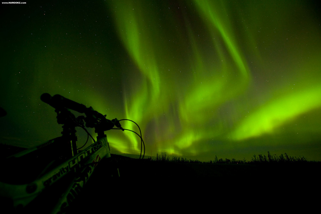 Aurora Borealis - Northern Lights - The most mind blowing natural light display I've ever seen. With all the talks of AK's magnificent light show, we had our camera gear ready with anticipation every clear night. It wasn't until the final evening on our drive to the airport that we were able to witness the sky spew a heavy dose of the green stuff in true AK form. The trip couldn't have ended on a better note! Even saw an Arctic fox on the side of the highway prior to the show.