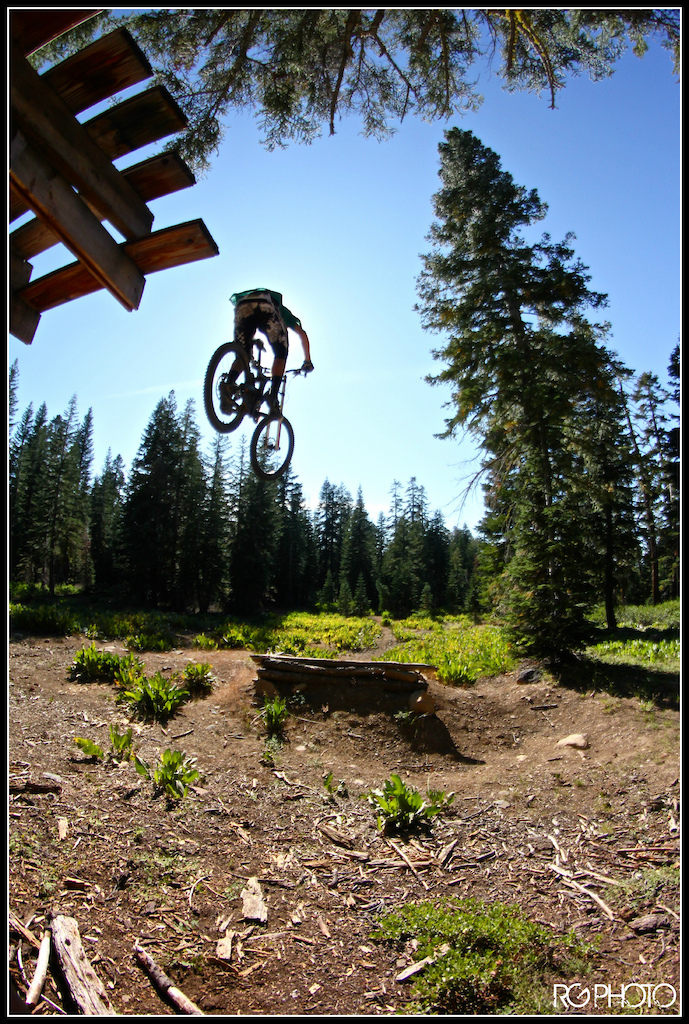 Steezy step down