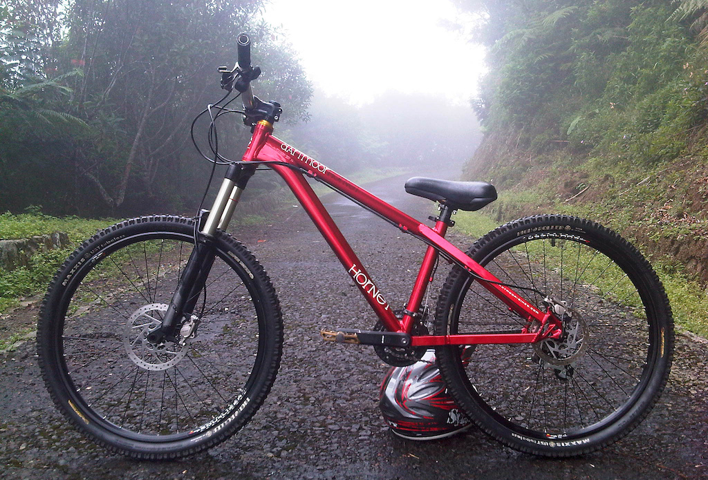 dartmoor hornet 4x frame