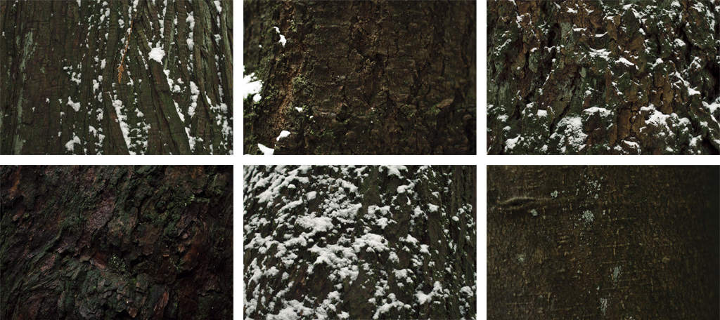 Name the trees.