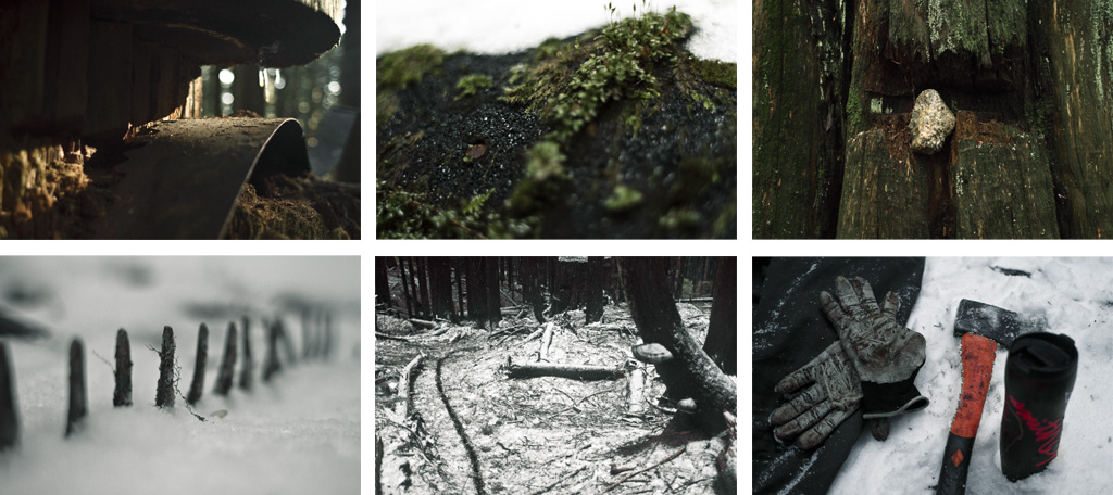 Nature and nurture the human mark left in the woods.