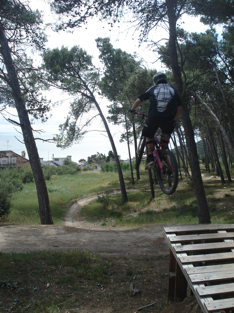 The begining of Whip :)