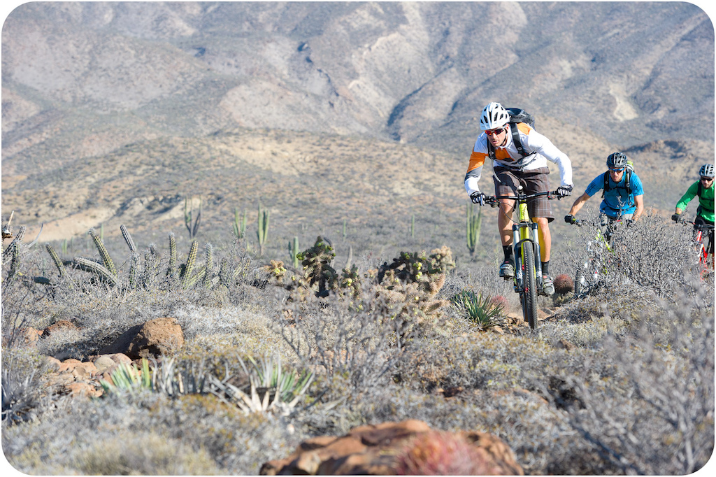 Brian Lopes Richie Schley and Joey Sanchez ride through the cactus at Punta San Carlos.