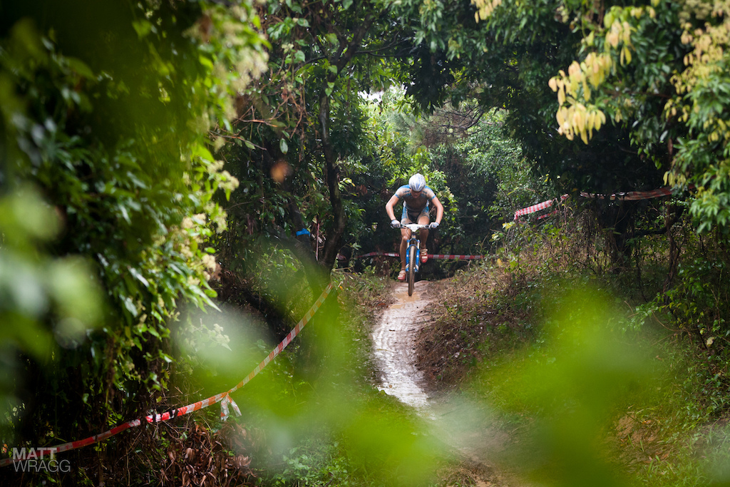 Through the dense foliage.