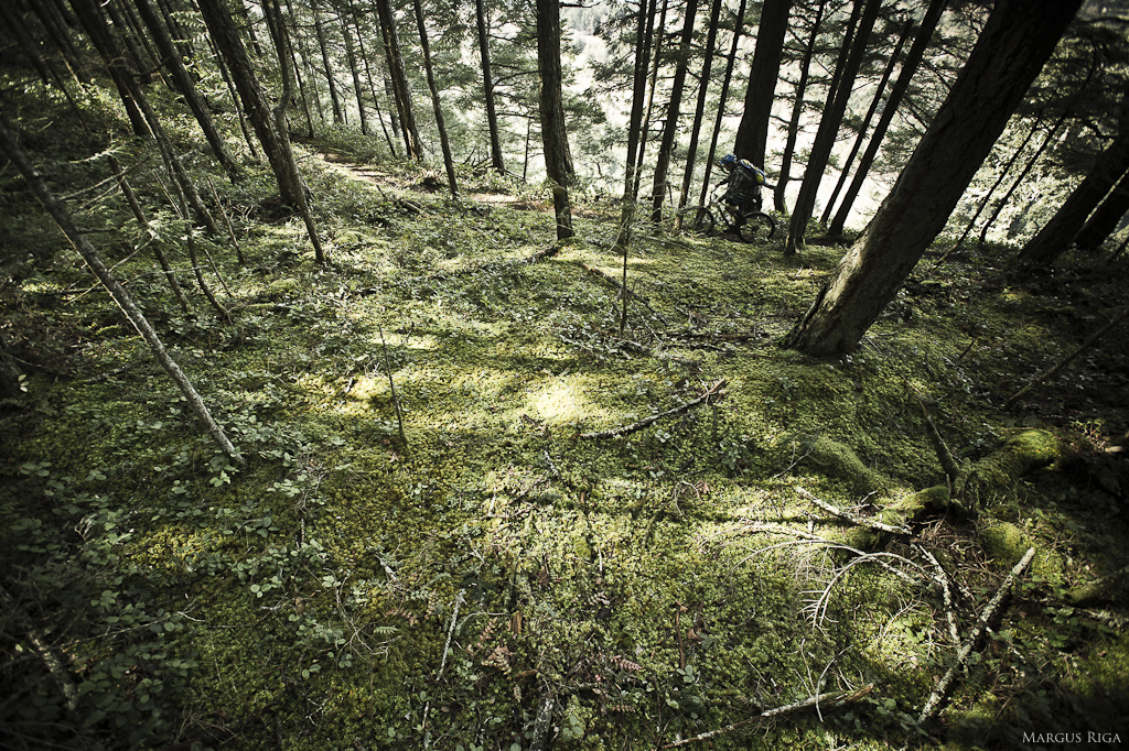The coolest thing is how the ridgelines forms this big backbone for the entire riding zone of Hornby. You can traverse the ridge in either direction and choose your trails accordingly. Many of the trails can be ridden in either direction.