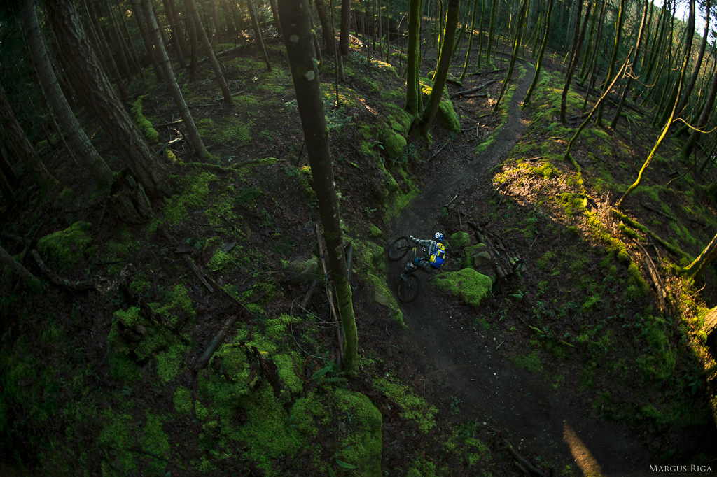7 35 am March 14th 2013. Riley McIntosh riding through blinding golden light on No Horses.