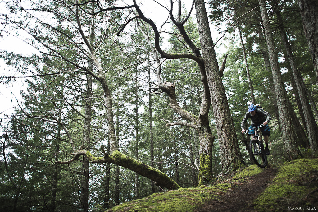 Riley McIntosh on the ridge trail.